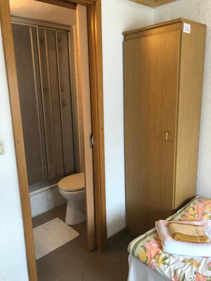 Zimmervermietung Lippmann Apartment Grosshartmannsdorf Екстериор снимка